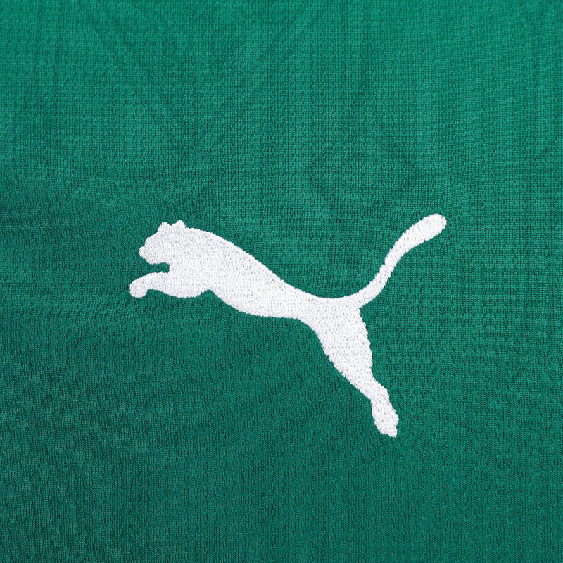Camisa Palmeiras 25/26 Home Torcedor